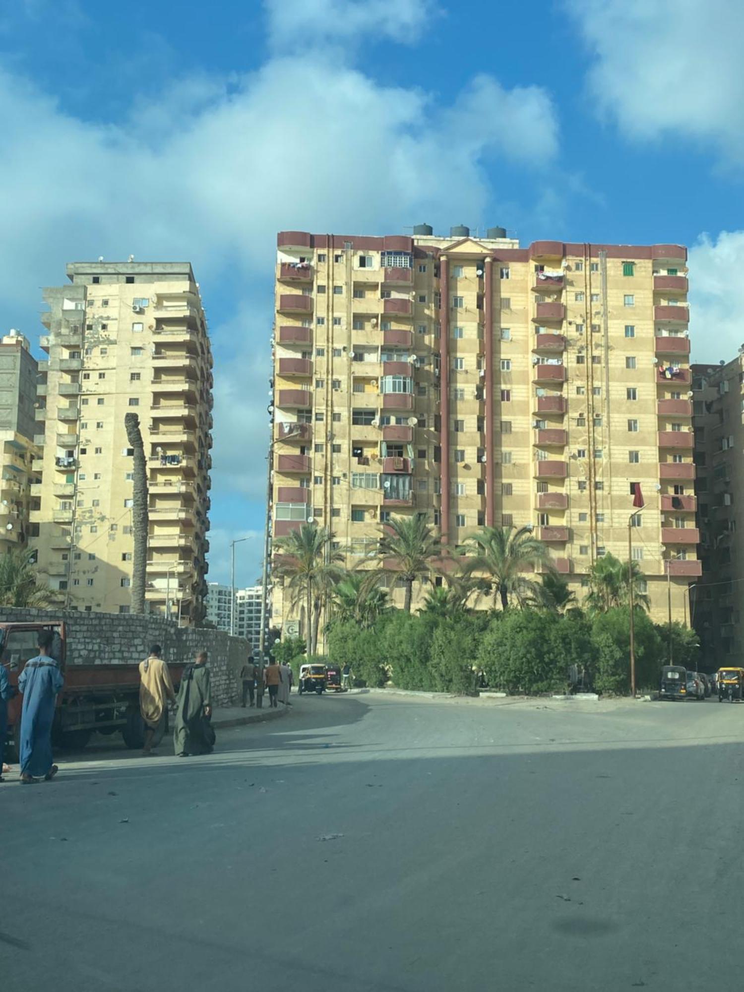 Alex Vibes Alexandria